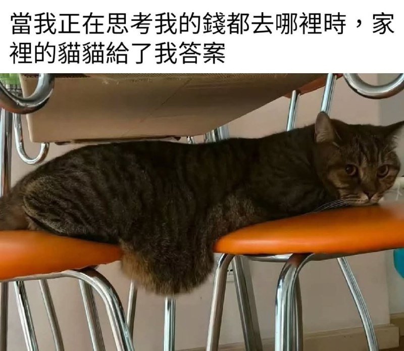 from 什麼都來點 via DECADE