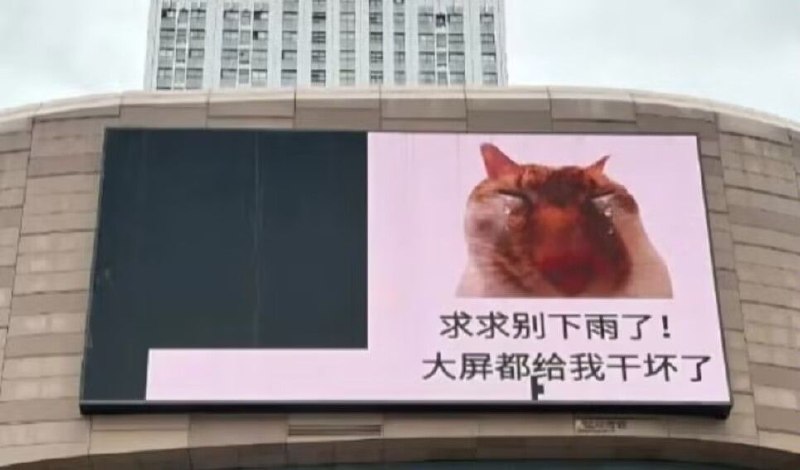 via 薯条via 薯条