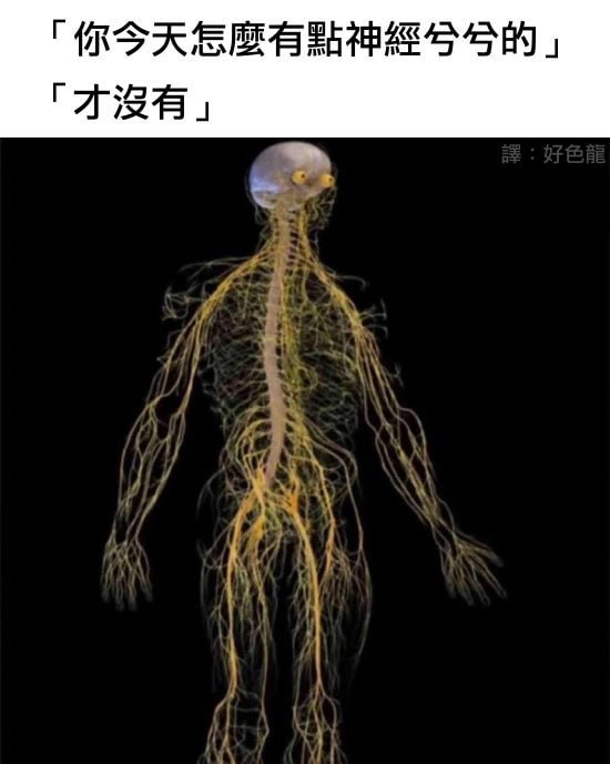via 6号沙雕网友