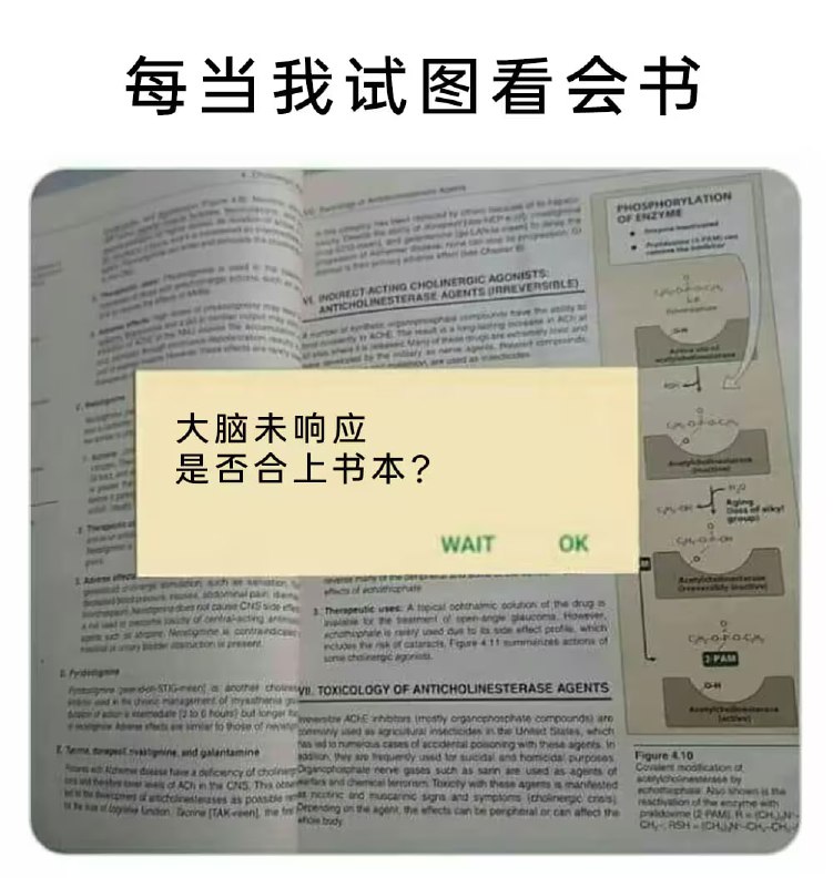 via 8号沙雕网友