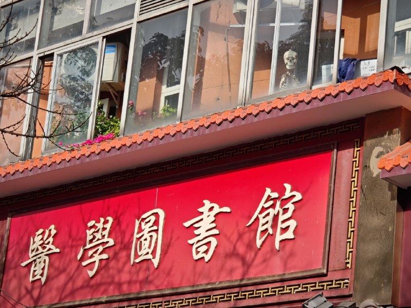 骷髅