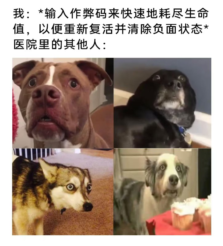 via 6号沙雕网友