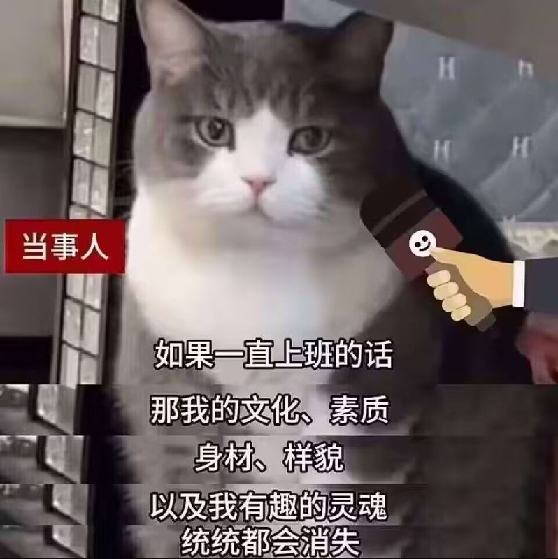 from 什麼都來點 via DECADE