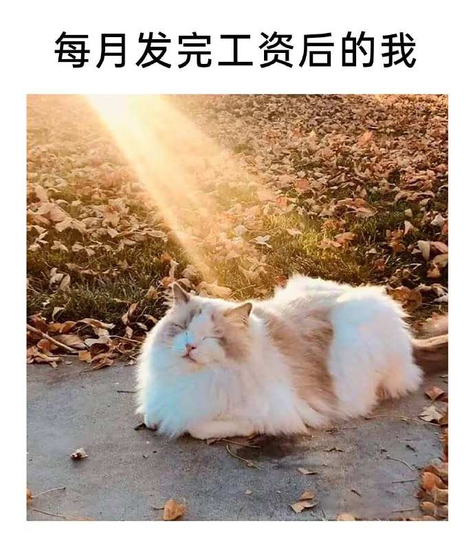 via 6号沙雕网友