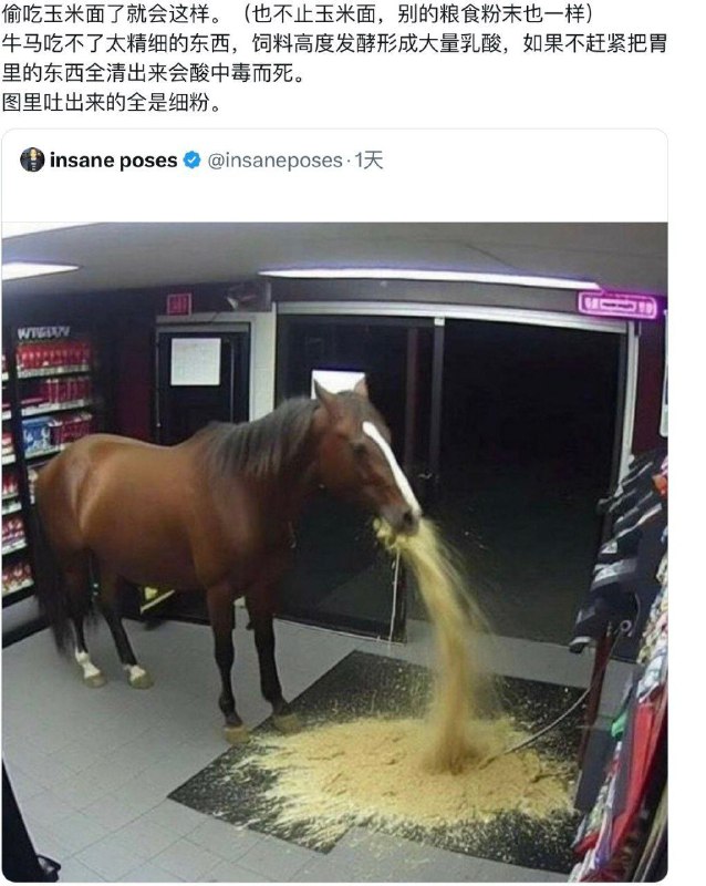 原來吃不了細糠的不是山豬，是牛馬啊？via DECADE