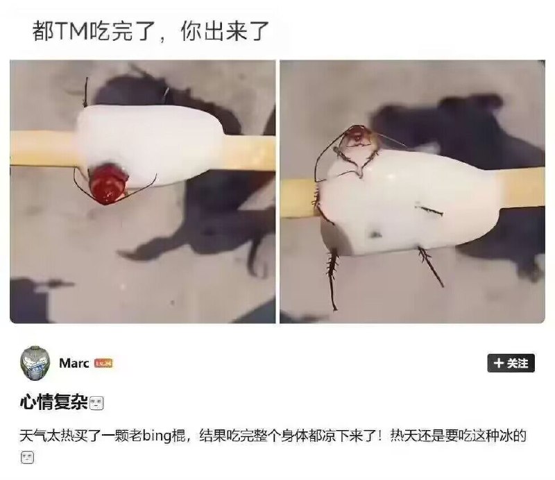 from 什麼都來點 via DECADE