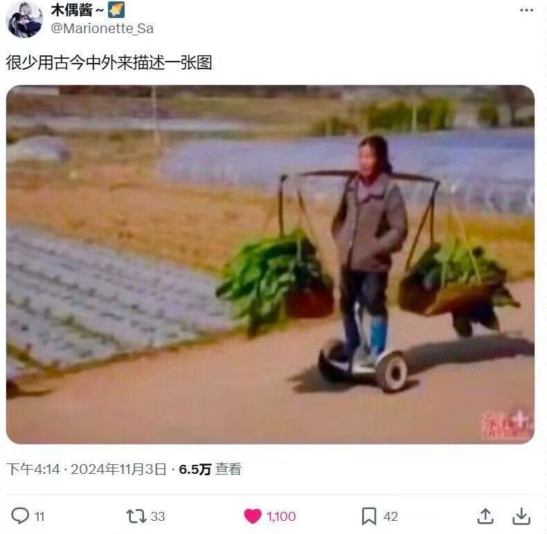 via 犯罪嫌疑人张某