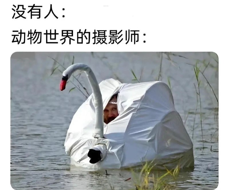 from Anzu什么都发 via electri