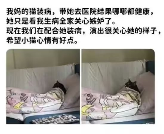via 6号沙雕网友