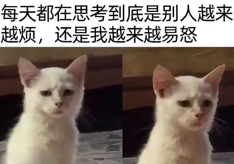 via 6号沙雕网友