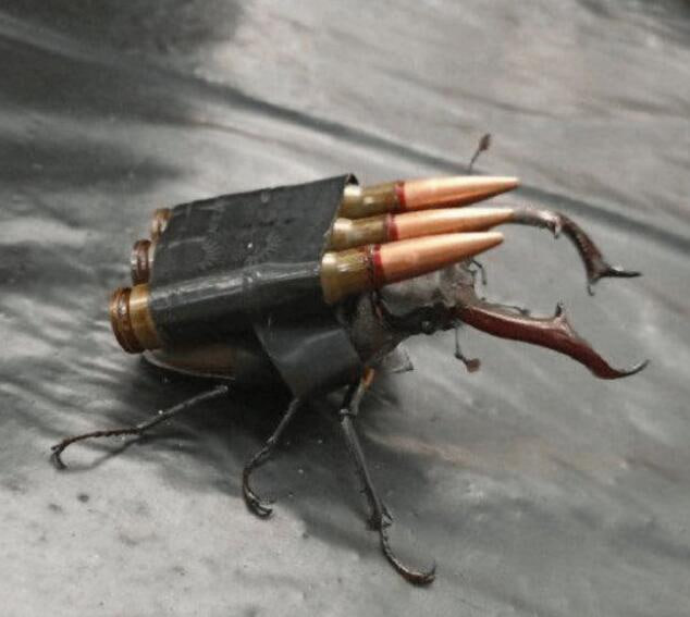 生物武器via 6号沙雕网友