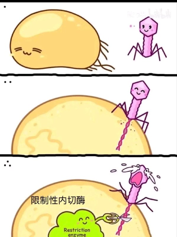 via 8号沙雕网友