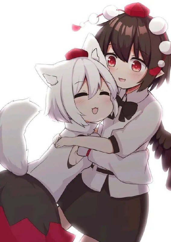 from 猫猫窝🐈🐈‍⬛️from 猫猫窝🐈🐈‍⬛️