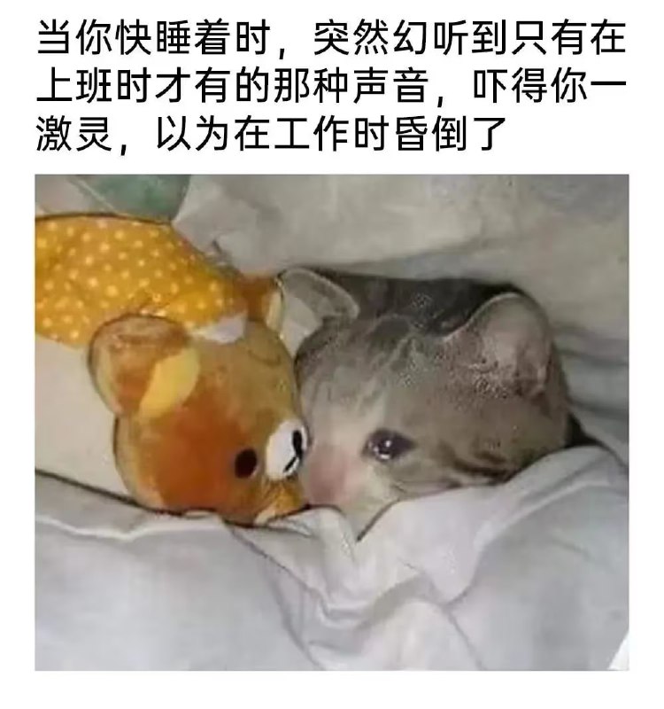 via 油菜花终结者