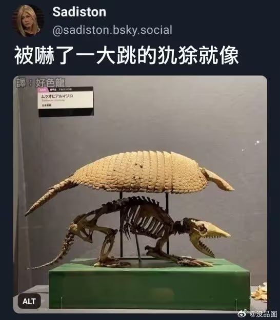 via 6号沙雕网友