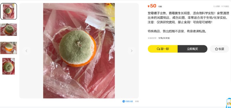 闲鱼上的离谱高价橘子闲鱼上的离谱高价橘子