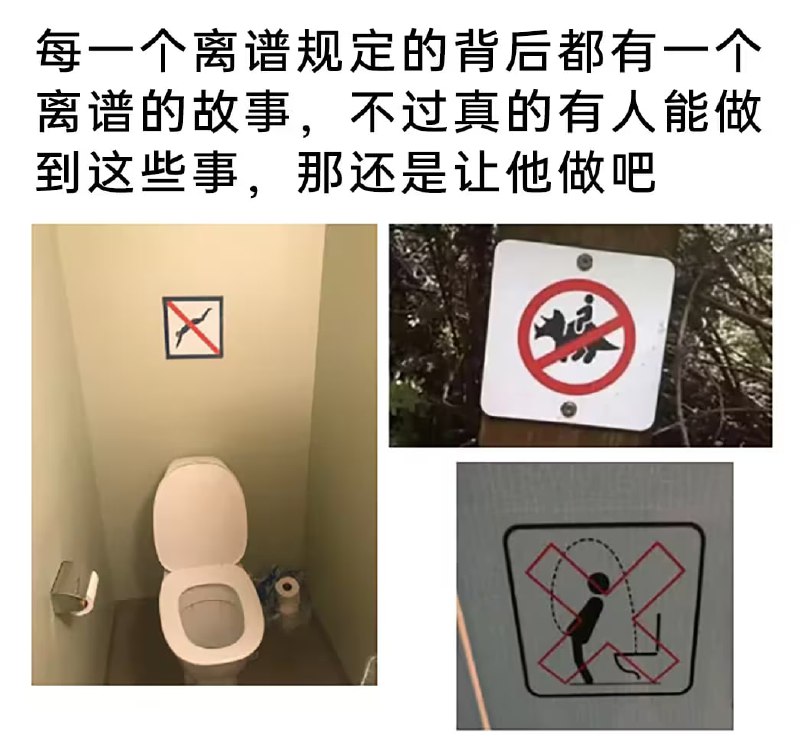 via 6号沙雕网友