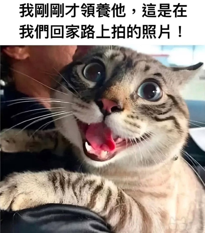 from 什麼都來點 via DECADE