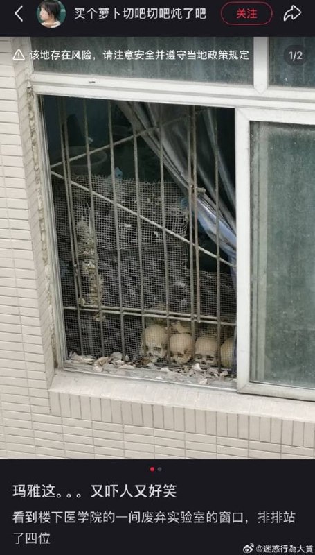 via 7号沙雕网友