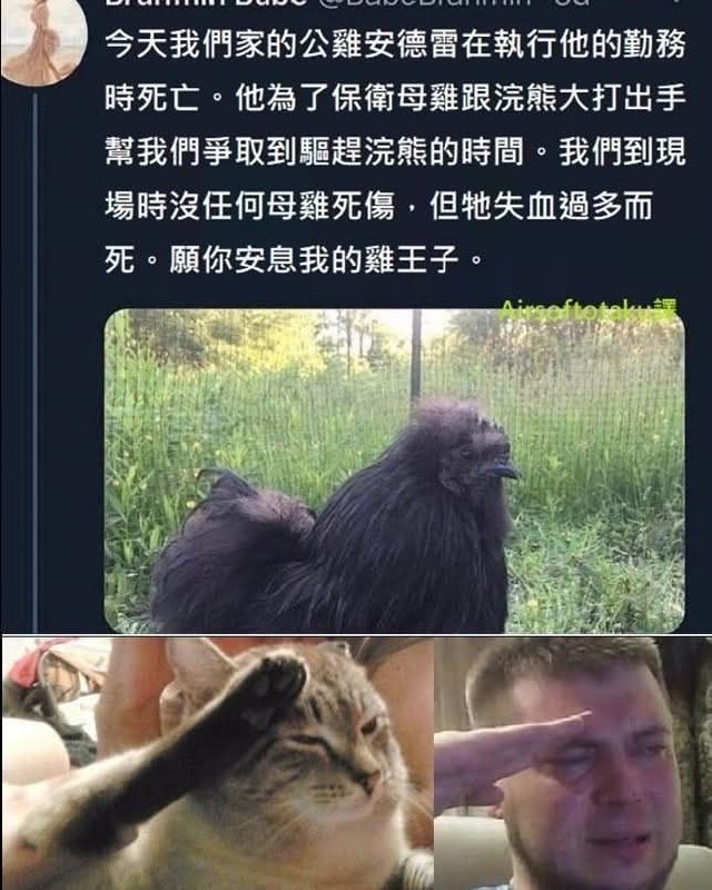 🫡from 廣告狗死媽 via DECADE