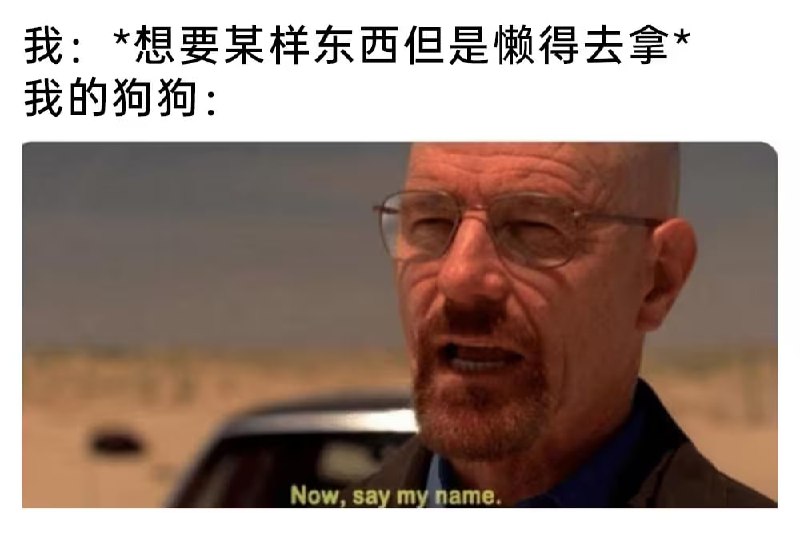 via 6号沙雕网友