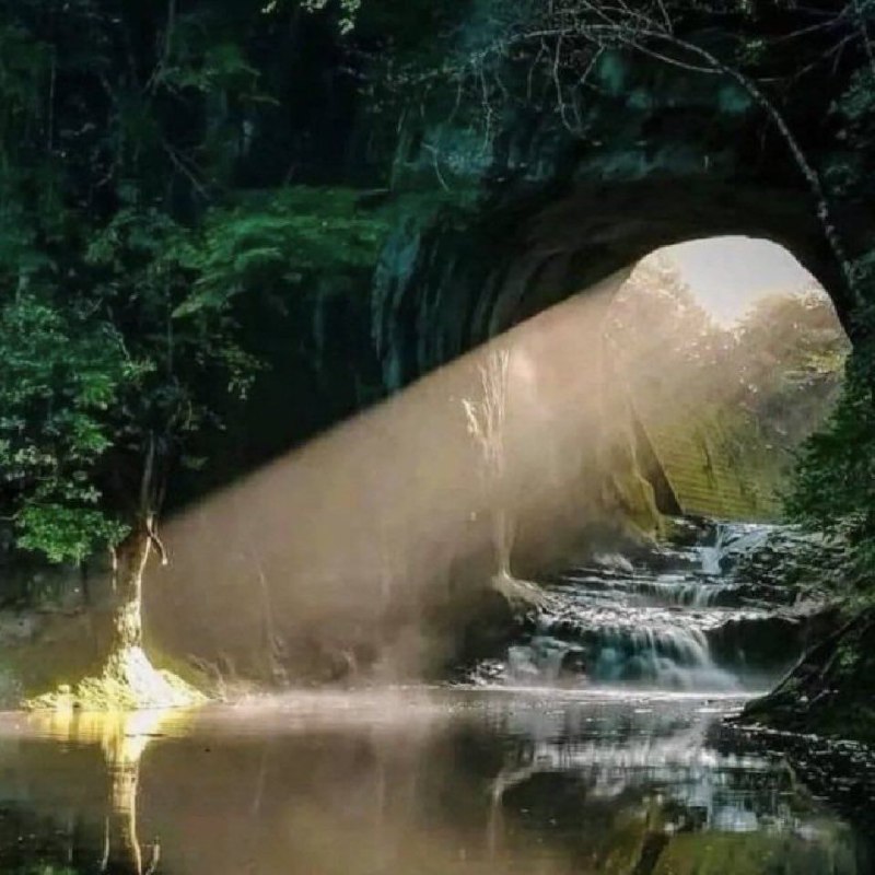 我承认我的灵魂已经不纯洁了