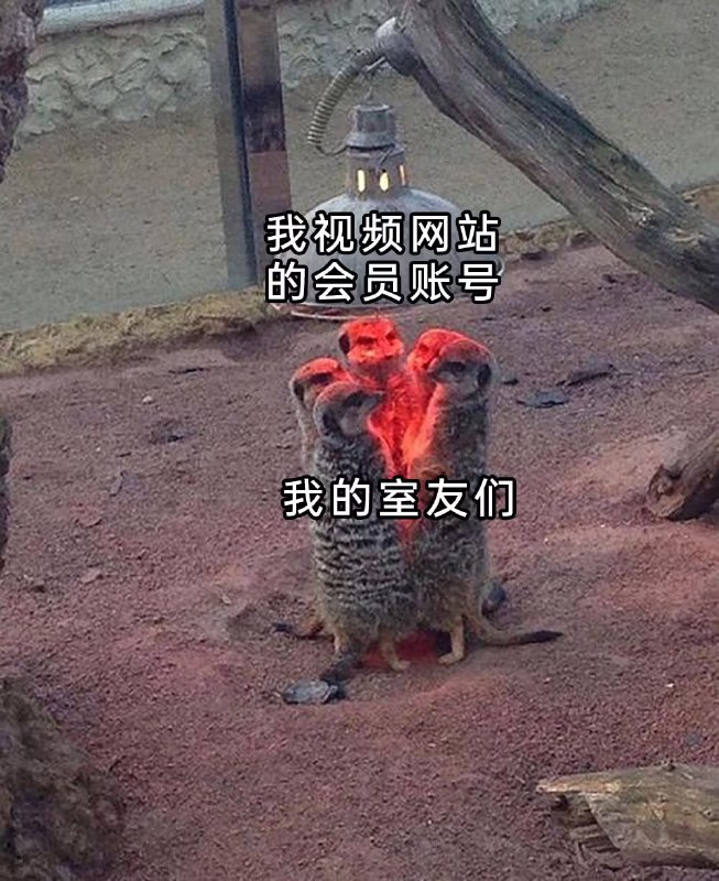 via 7号沙雕网友