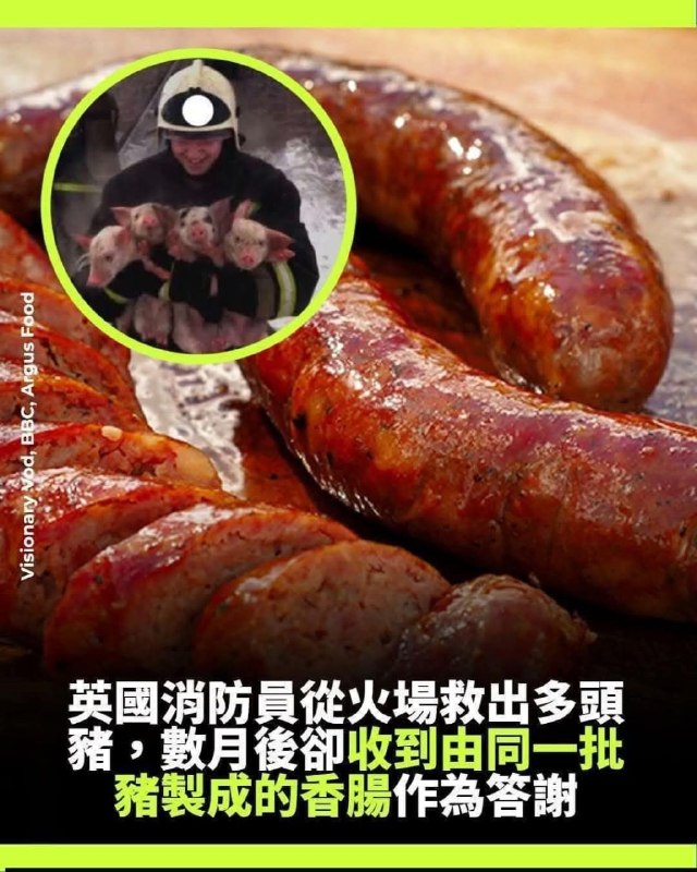 from 什麼都來點 via DECADE