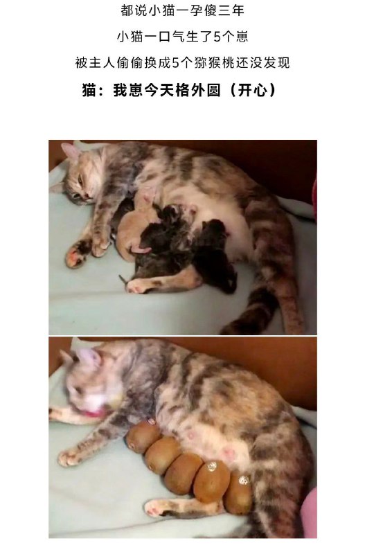 via 天廻泪子