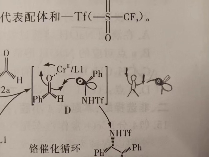 人类大战蚊子from 〄FW