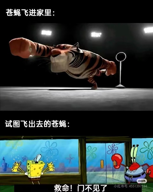 from Mr.Yan via Mr.Yan