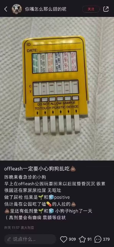 狗