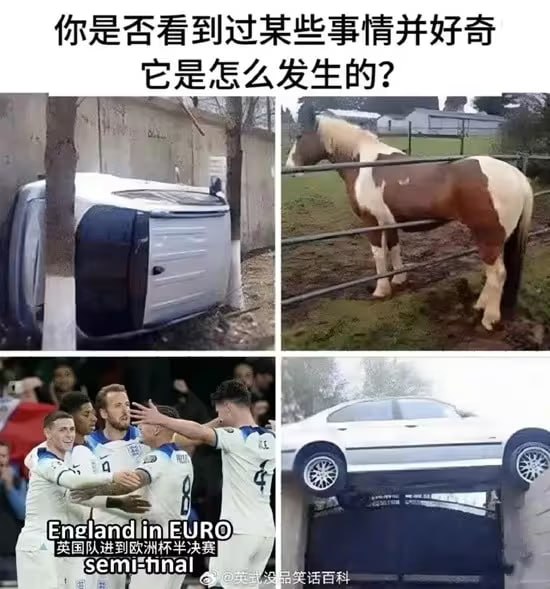 via 油菜花终结者