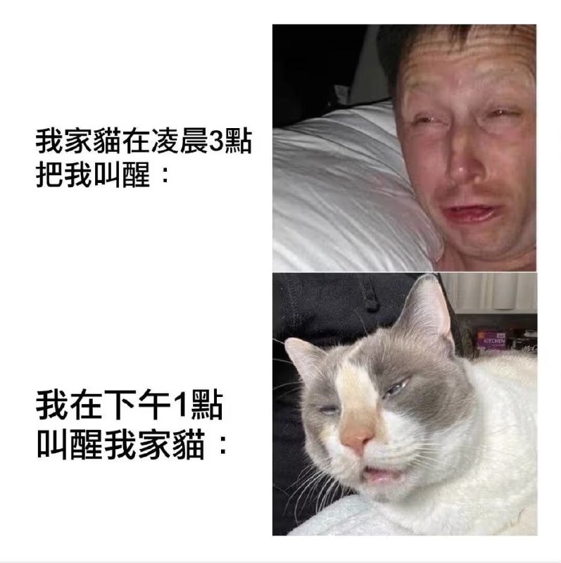 via 7号沙雕网友