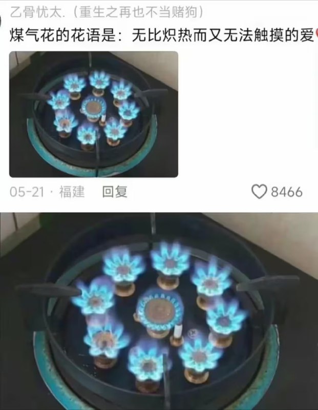 via 油菜花终结者