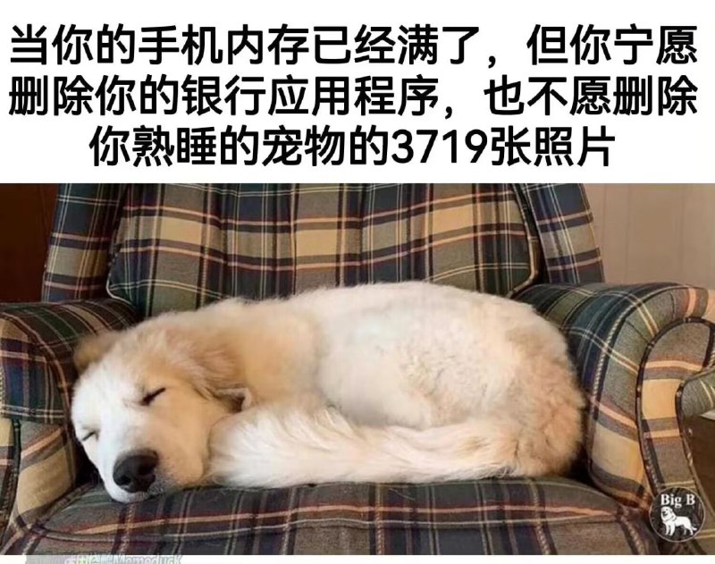 via my nbklsfrom 心惊报 via DECADE