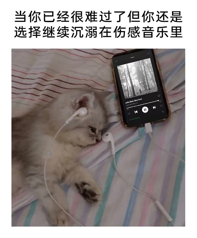 via 7号沙雕网友