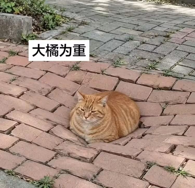 from 發點囧圖 via DECADE