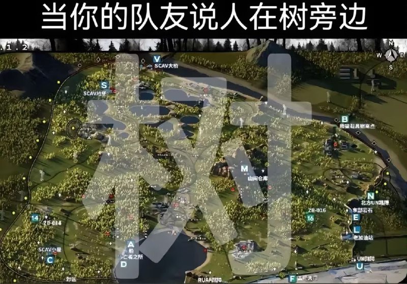 笑点解析