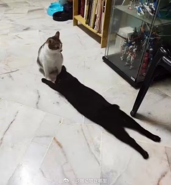via 6号沙雕网友