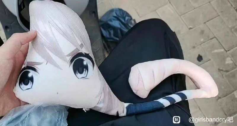 from 平壤卫视from 平壤卫视