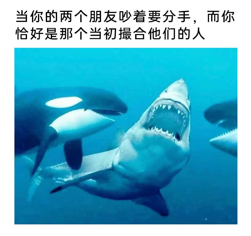 via 7号沙雕网友
