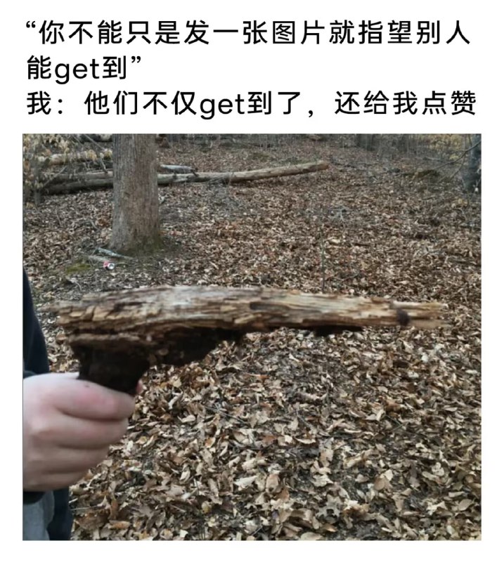 via 6号沙雕网友