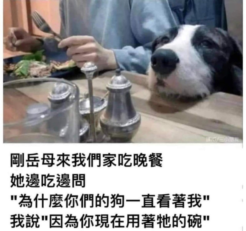 from 什麼都來點 via DECADE