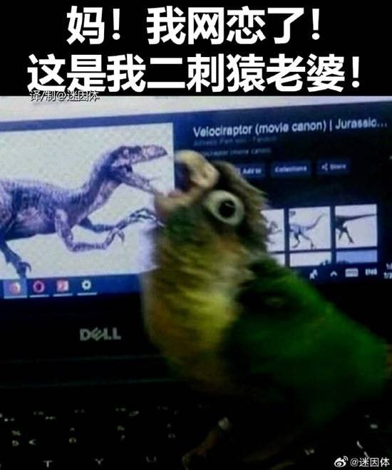 via 7号沙雕网友