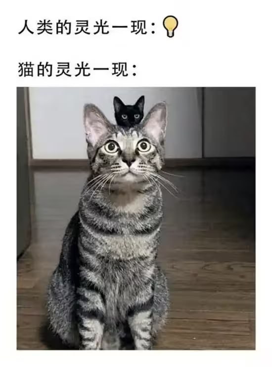 via 7号沙雕网友