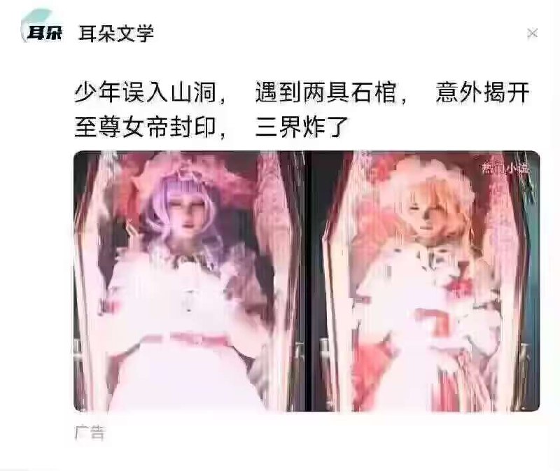 from 猫猫窝🐱