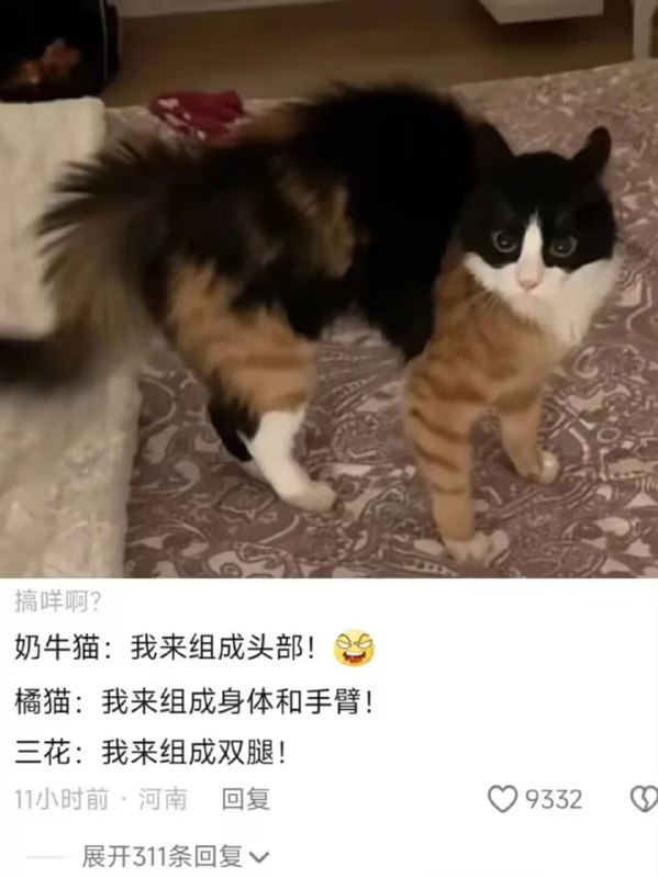 via 6号沙雕网友