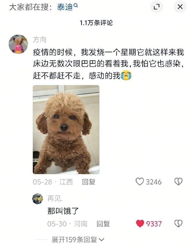 HeHeDa