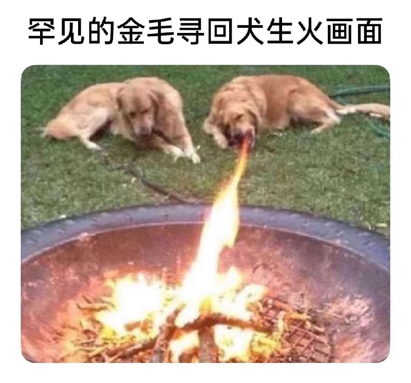 via 6号沙雕网友